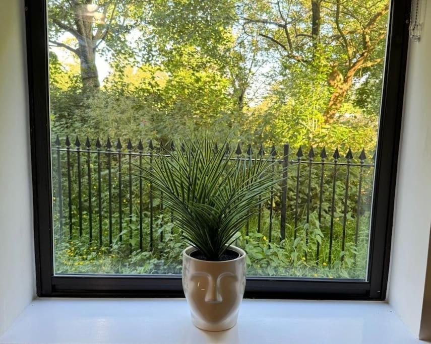 Polly'S Place Apartment Taunton & Free Off Road Parking & Wifi Экстерьер фото